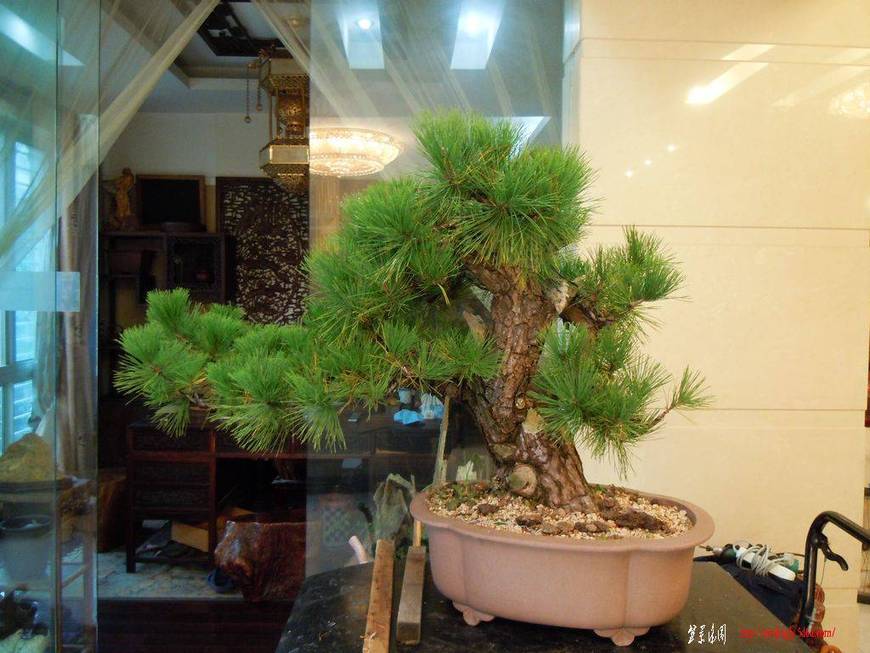 DSCN3129.JPG