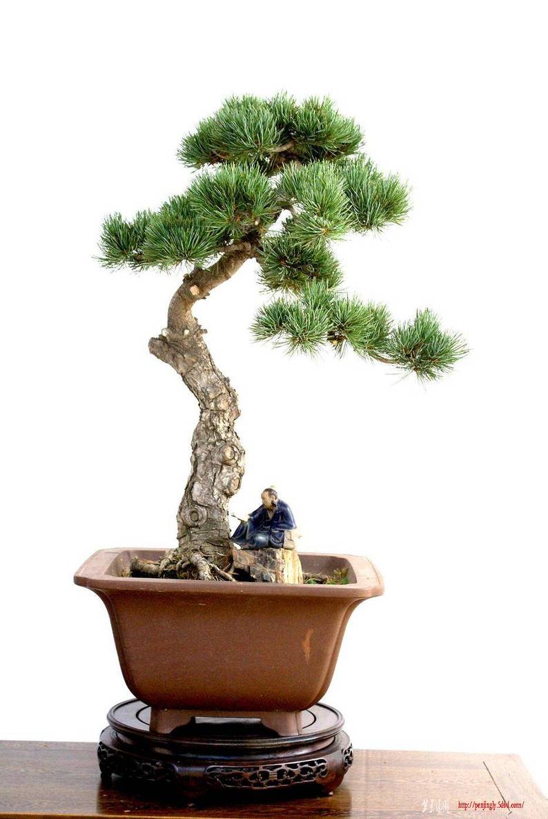 ������Ƭ2009-6-13 306.jpg