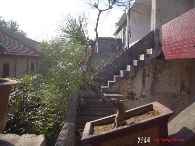 S1030325.JPG