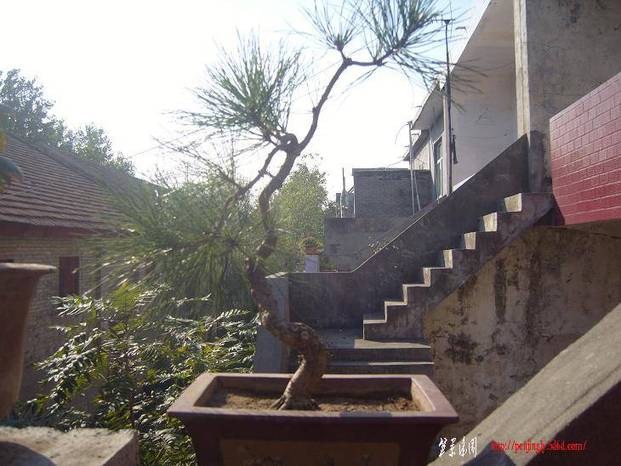 S1030327.JPG