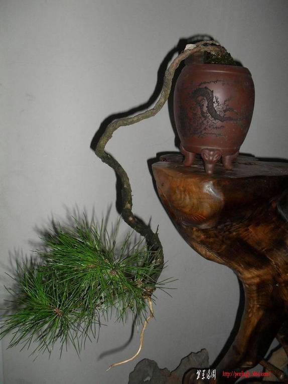 ������С ��ת SDC10849ֱ�»�ɽ��.jpg