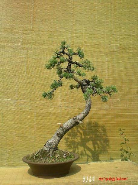 2010������������Ƭ 053.jpg