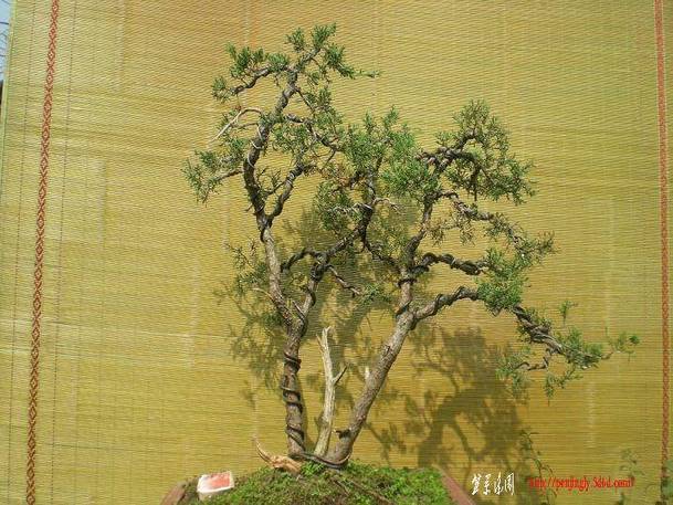 2010������������Ƭ 047.jpg