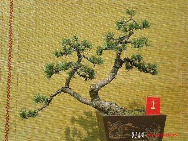 2010������������Ƭ 051.jpg