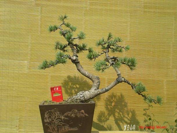 2010������������Ƭ 049.jpg