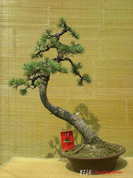 2010������������Ƭ 054.jpg