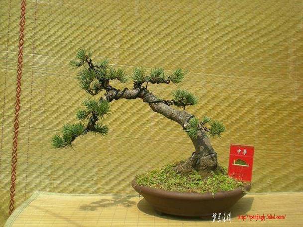 2010������������Ƭ 058.jpg