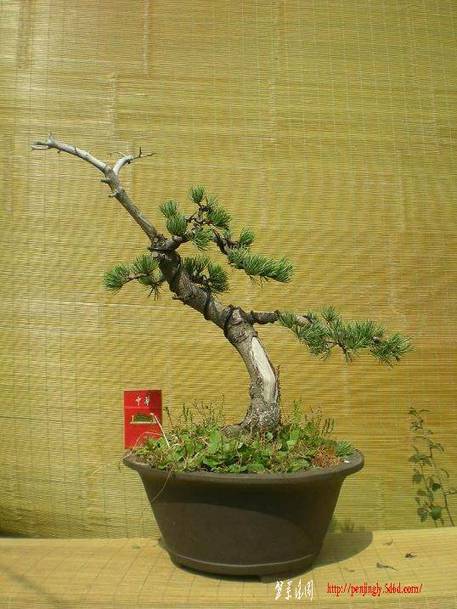 2010������������Ƭ 065.jpg