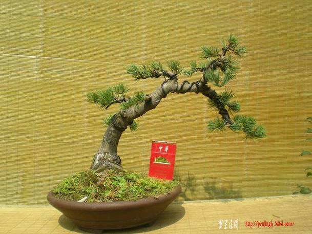 2010������������Ƭ 057.jpg