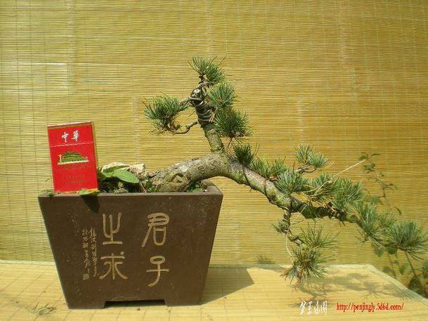 2010������������Ƭ 083.jpg