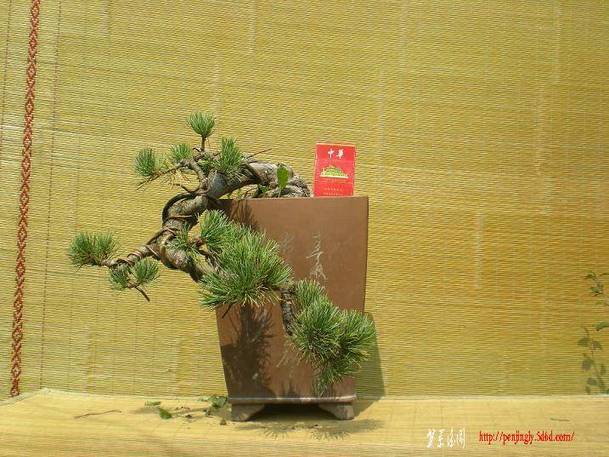 2010������������Ƭ 060.jpg