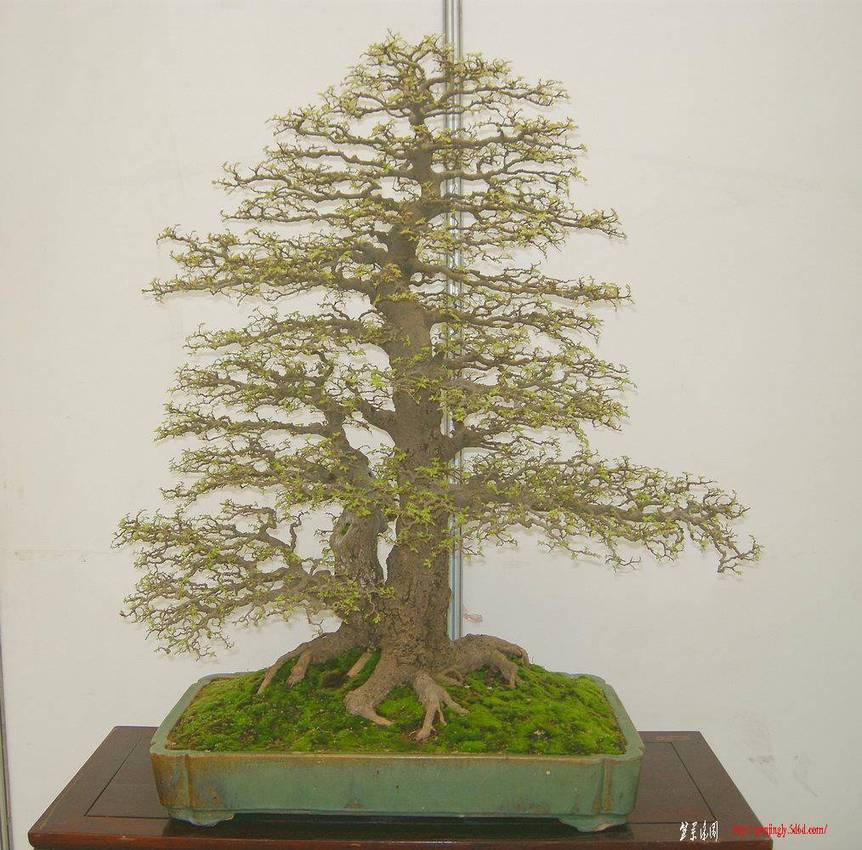 DSCN1500.JPG