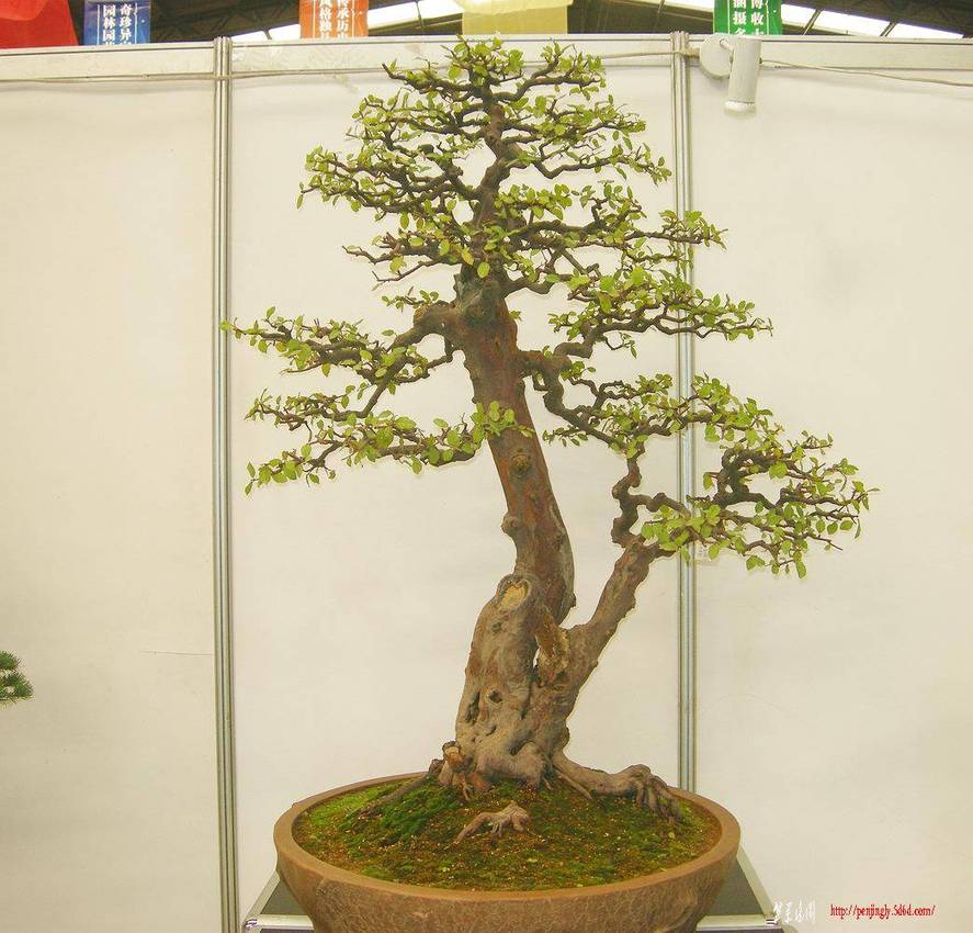DSCN1521.JPG