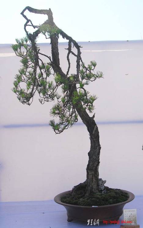 DSC_0120.jpg