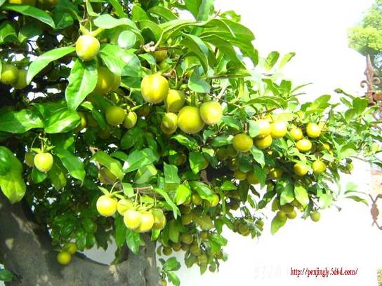 20101015԰辰Ƭ 006.jpg