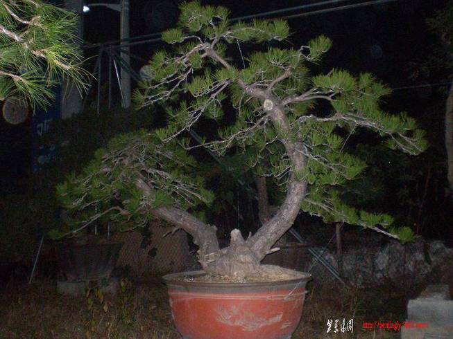 SANY0925.JPG