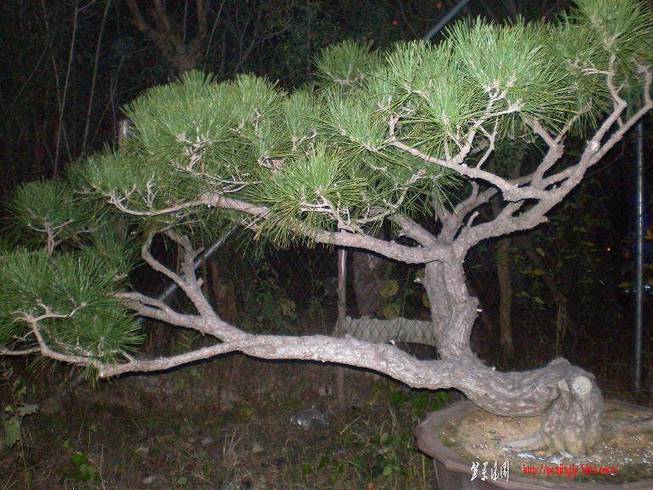 SANY0937.JPG