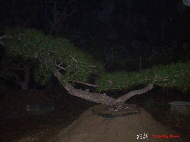 SANY0991.JPG