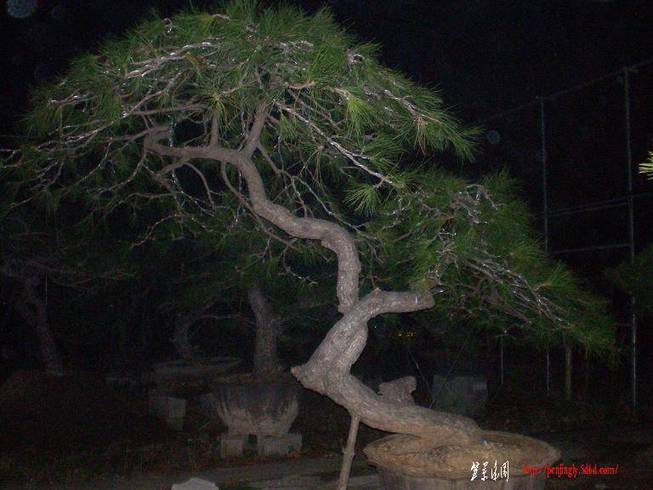 SANY0950.JPG