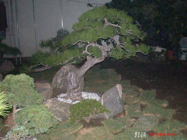 SANY0985.JPG