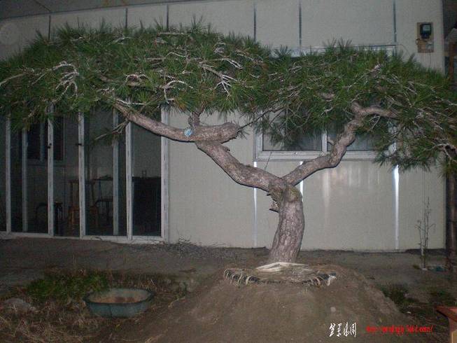 SANY0965.JPG