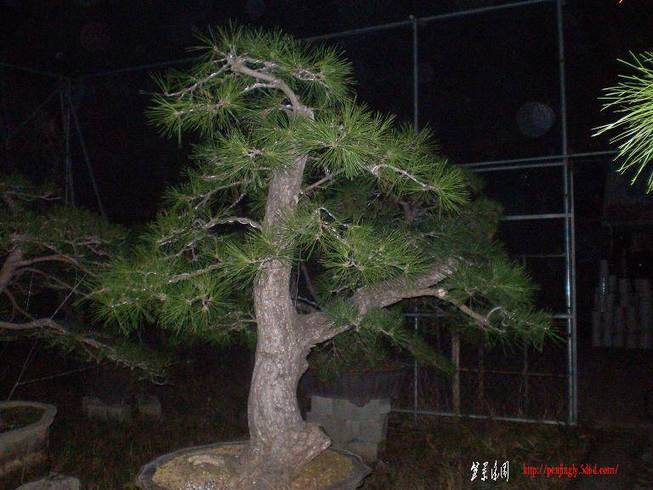 SANY0927.JPG