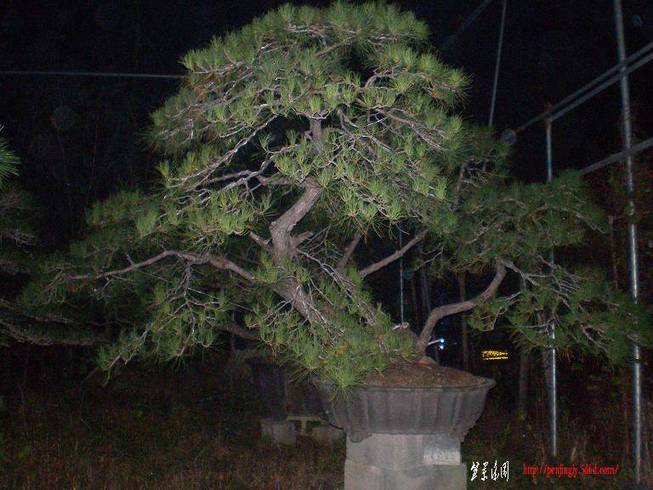 SANY0938.JPG