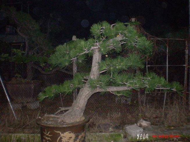 SANY1029.JPG
