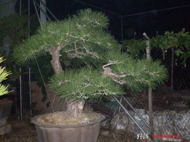 SANY0922.JPG