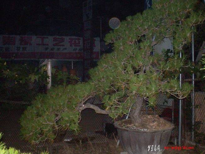 SANY0917.JPG