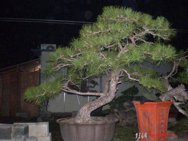 SANY0970.JPG