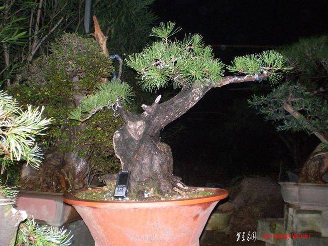 SANY0912.JPG
