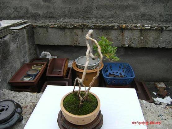 DSCF4070.JPG