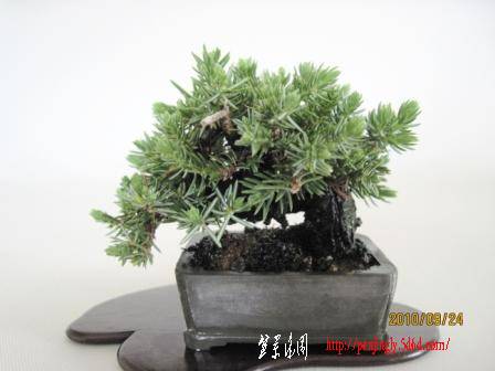 0042-a.jpg