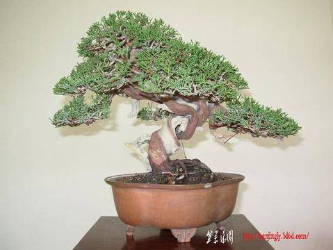 dscn0040.jpg