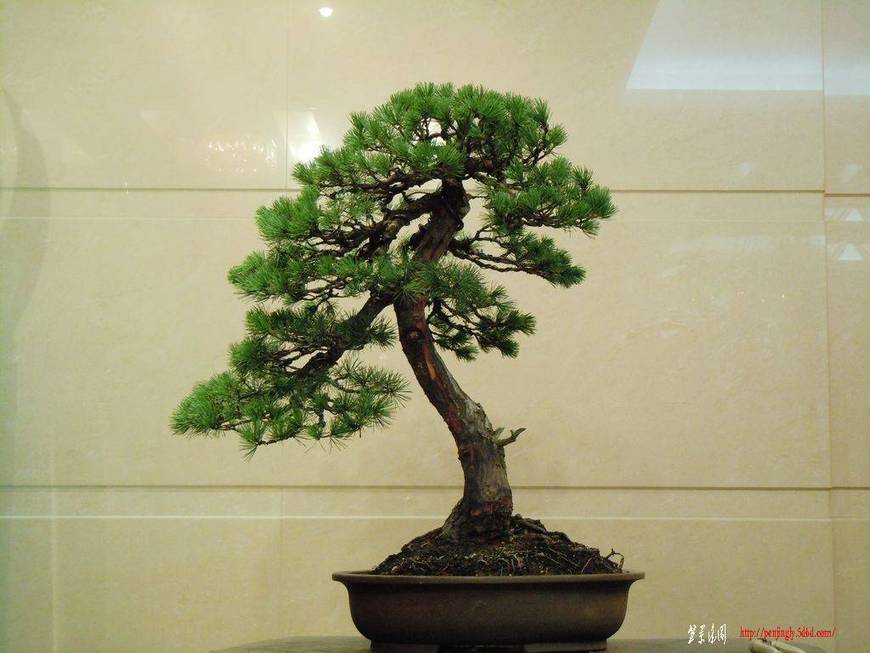 DSCN3757.JPG