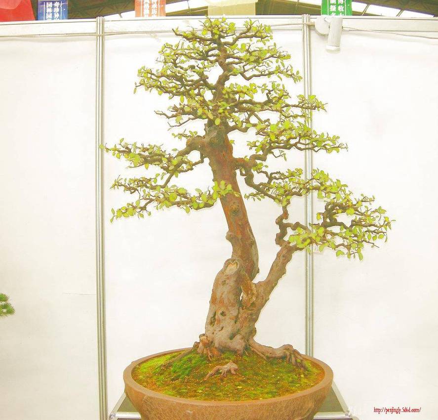 DSCN1521.JPG