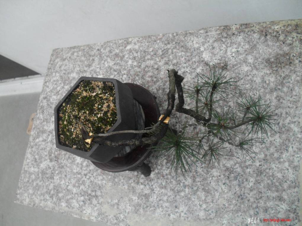 ������С SDC11141�����ɽ��.jpg