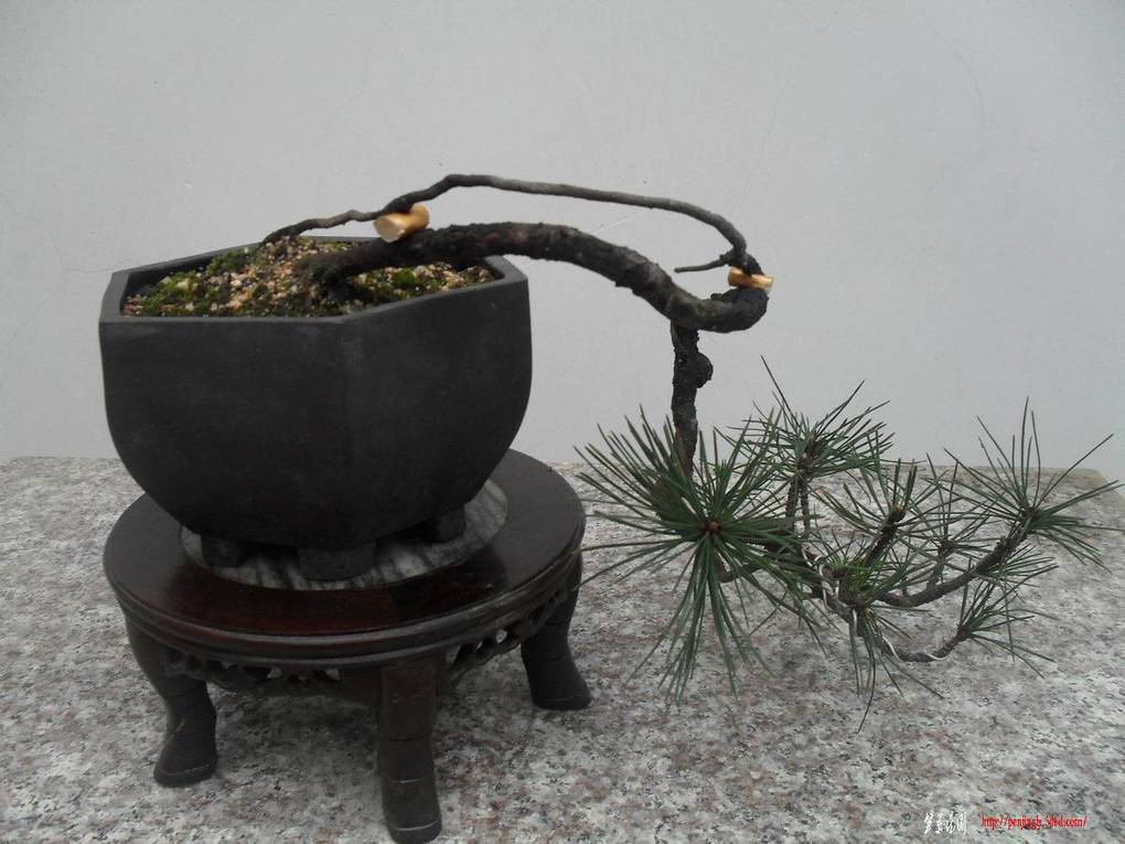 ������С SDC11140�����ɽ��.jpg