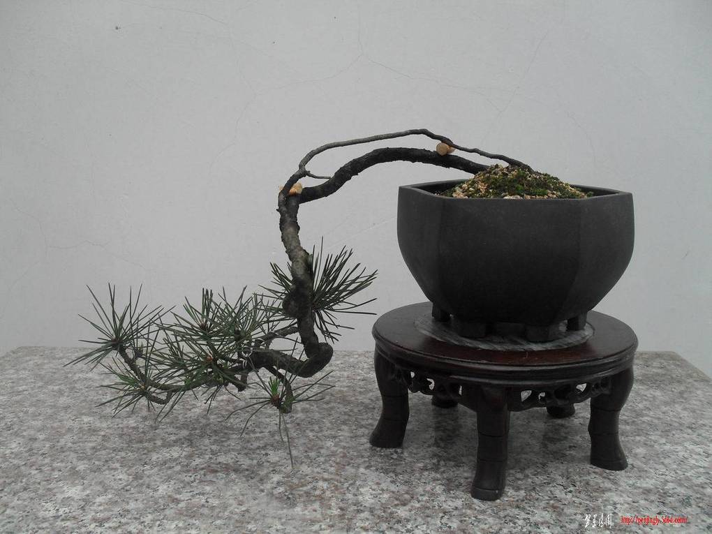 ������С SDC11138�����ɽ��.jpg