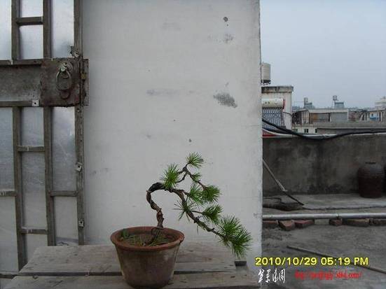 SDC10436.JPG