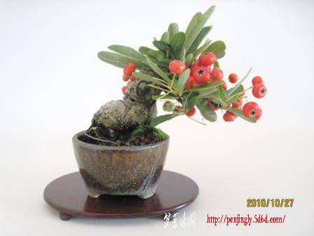 0065-a.jpg