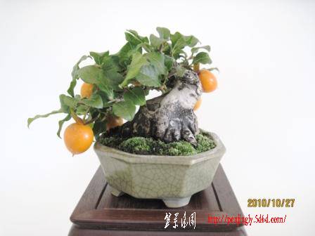 0067-a.jpg