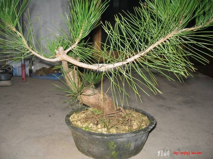 Ƭ 055.jpg