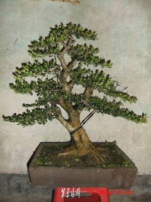2010_10260001.JPG