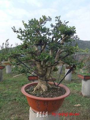 2010_10270010.JPG