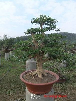 2010_10270004.JPG