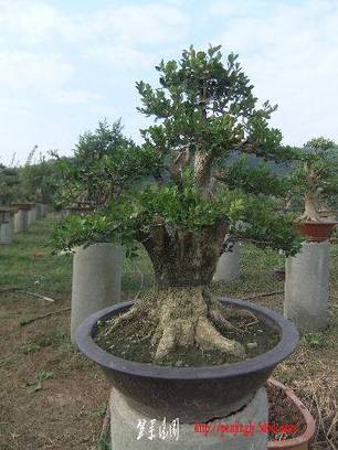 2010_10270007.JPG