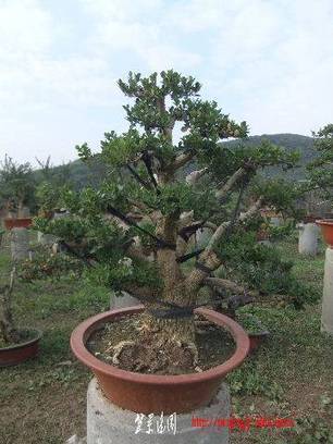 2010_10270001.JPG
