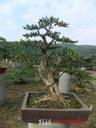 2010_10270016.JPG